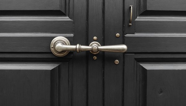 Poignée portail extérieur : style et qualité à portée de main