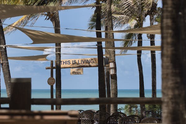 Découvrez le voile d'ombrage en fibre de coco pour votre jardin